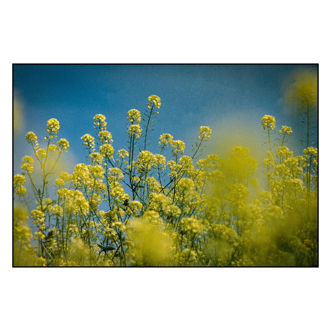 Slide Show Image