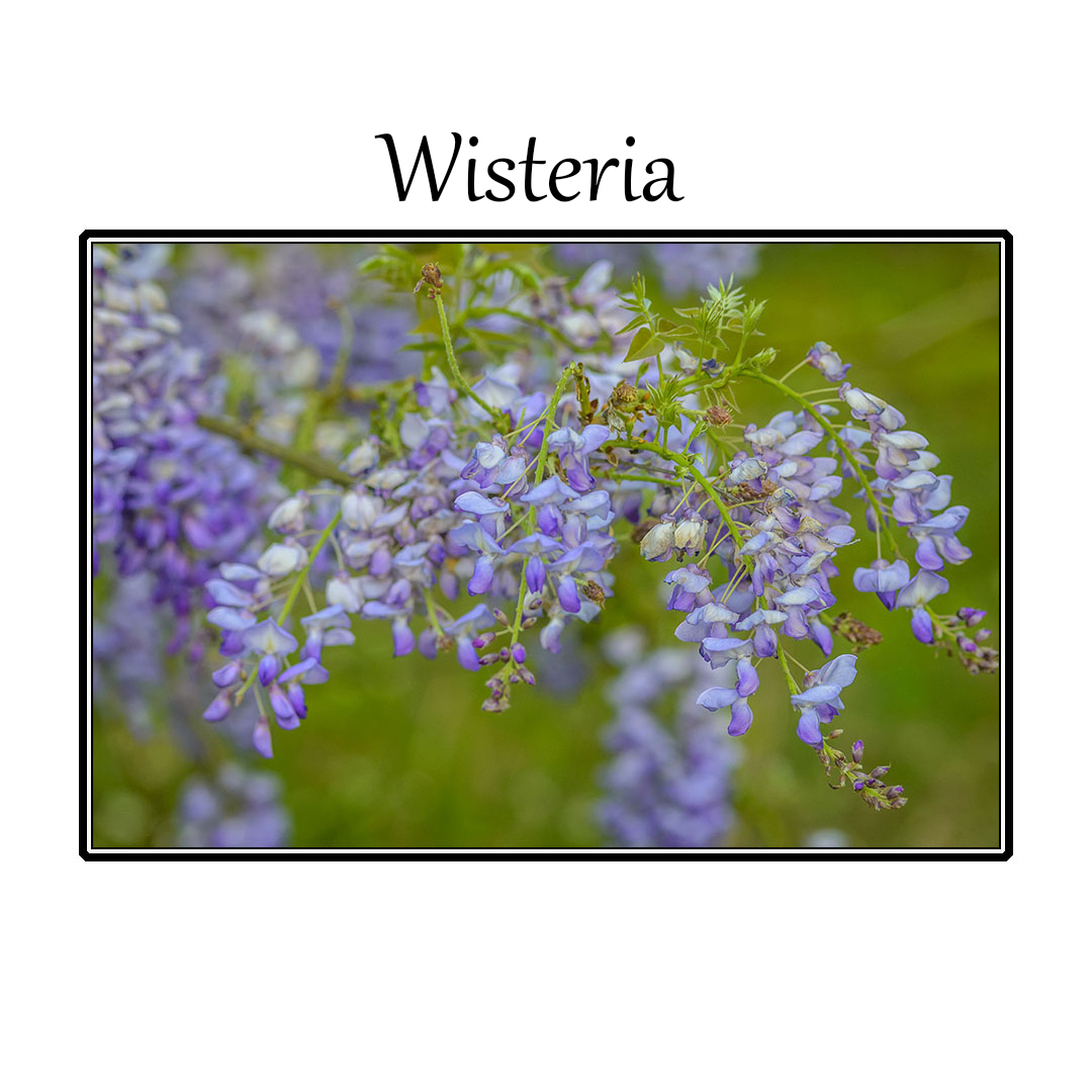 photoTest 1